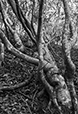 Against the Elements 47